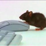 The Mouse Master Avatar